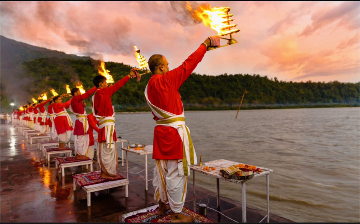 Find Your Dream Property